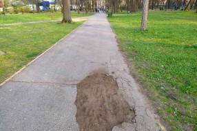 Rupe na pešačkoj stazi u Dudovoj šumi
