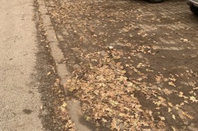 Blato od lišća u Ulici Ivana Gorana Kovačića