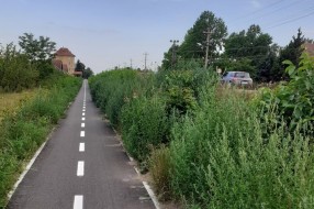 Korov, trava i drugo rastinje na biciklističkoj stazi kod bivše Zorke