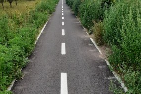 Korov, trava i drugo rastinje na biciklističkoj stazi kod bivše Zorke