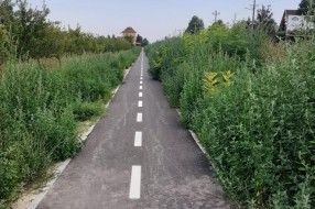 Korov, trava i drugo rastinje na biciklističkoj stazi kod bivše Zorke