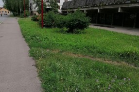 Prepunjeni kontejneri i zapuštena zelena površina u Šumskoj ulici