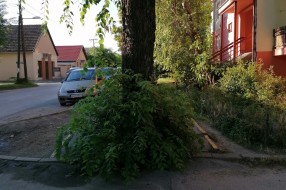 Prepunjeni kontejneri i zapuštena zelena površina u Šumskoj ulici