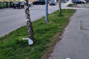 Neiscrpna tema smeća u Petra Lekovića na Radijalcu