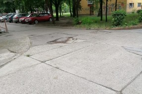 Udarne rupe u Šumskoj ulici