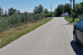 Korov oko "Vodovoda"