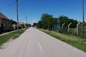 Korov oko "Vodovoda"