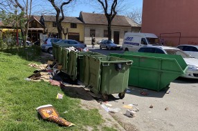 Problem sa kontejnerima i razbacivanjem smeća u ulici Arsenija Čarnojevića