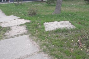 Staza u Teslinom naselju