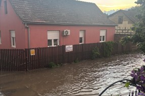 Višegodišnji problem neprohodnosti Jasenovačke ulice usled padavina