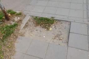 Prozivka - šetalište: oštećenja