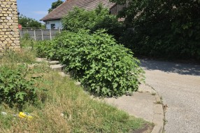 Opasna raskrsnica - izlaz iz Bjelovarske u Durmitorsku ulicu