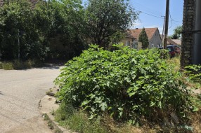 Opasna raskrsnica - izlaz iz Bjelovarske u Durmitorsku ulicu