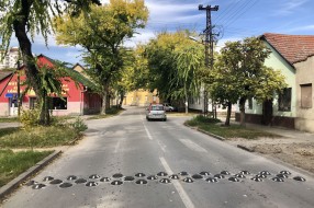 Nova vrsta ležećih policajaca u gradu?!
