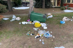Psi lutalice i izvrnute kante za smeće svaki dan (Veliki Radanovac)