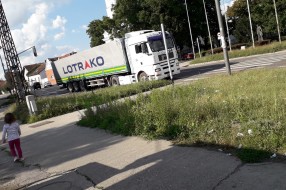 Košenje trave u centru Aleksandrova