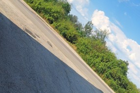 Visoka trava i rastinje godinama problem - naselje Zorka