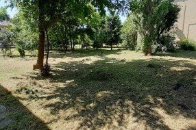 Neodržavana travnata površina u Ohridskoj ulici