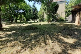 Neodržavana travnata površina u Ohridskoj ulici