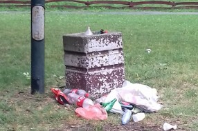 Pretrpane kante za smeće u Dudovoj šumi