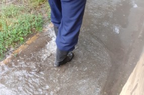Poplavljeni trotoar u Ulici braće Majer