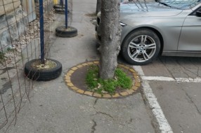 Ugroženi pešaci (Ulica Matije Gupca)