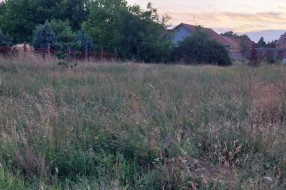 Dečje igralište u Malom Bajmoku zaraslo u travu