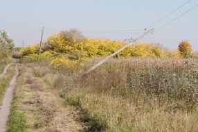 Bandera i Elektrovojvodina