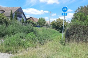 Korov i ambrozija pored trotoara na Kelebiji