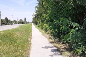 Korov i ambrozija pored trotoara na Kelebiji