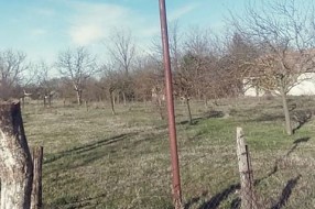 Rupe u ulicama "10. novembra" i "Jelene Ćetković"