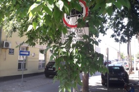 Saobaćajni znakovi zarasli u rastinje