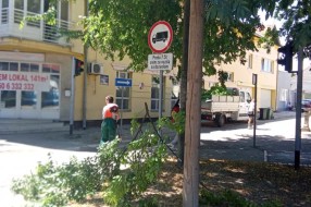 Saobaćajni znakovi zarasli u rastinje