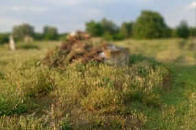 Neodržavanje groblja u Gornjem Tavankutu