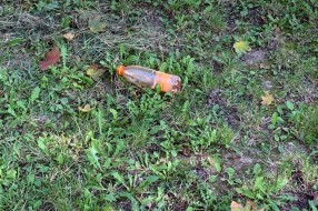 Zapušten park na uglu Somborskog puta i Gajeve