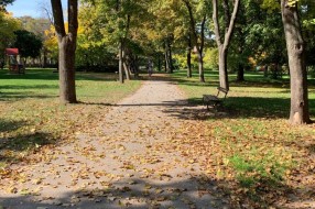 Zapušten park na uglu Somborskog puta i Gajeve