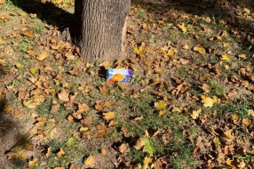 Zapušten park na uglu Somborskog puta i Gajeve