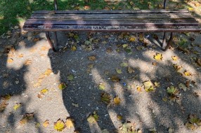 Zapušten park na uglu Somborskog puta i Gajeve