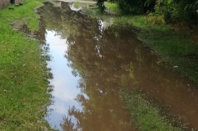 Potop u Bečkoj ulici na Zorci