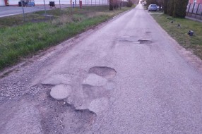 Udarne rupe u Batinskoj ulici