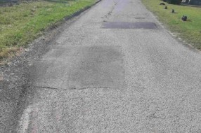 Udarne rupe u Batinskoj ulici