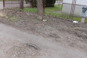 Udarna rupa u Ulici Mihajla Pupina