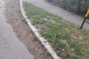 Čišćenje ulica, bankina kod Kerske crkve