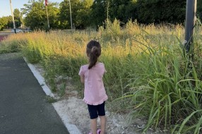 Nepokošena trava oko igrališta u Aleksandrovu  opasnost za decu da pokupe krpelje