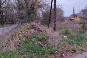 Smeće i natovarena zemlja na Paliću