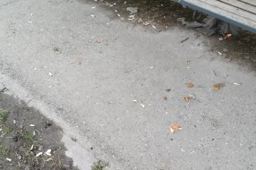 Ne prazni se kanta sa smećem na autobuskom stajalištu u Bajmoku