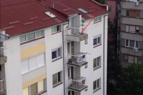 Neodgovorni vlasnici pasa (Radijalac)