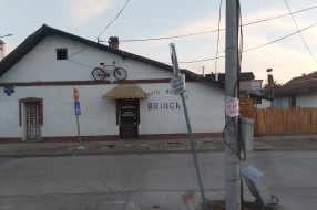 Najezda žohara - buba švaba