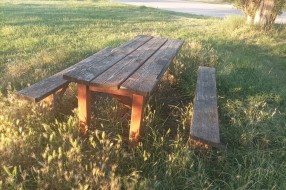 Bogatstvo ne pokošene trave uz obalu jezera: Palić u znaku letnjeg nerada i zapuštanja