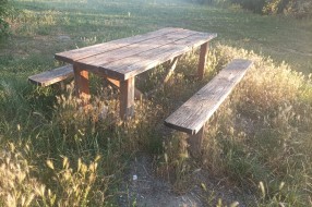 Bogatstvo ne pokošene trave uz obalu jezera: Palić u znaku letnjeg nerada i zapuštanja